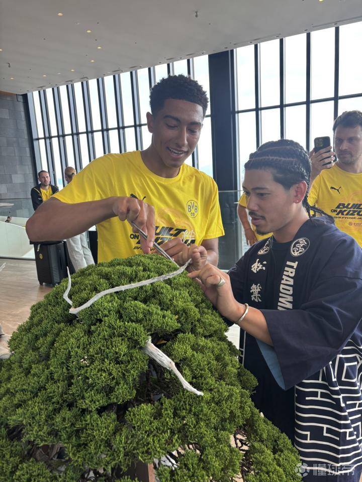 小贝林在日本体验修剪盆栽,为一盆价值超百万元的盆栽修剪